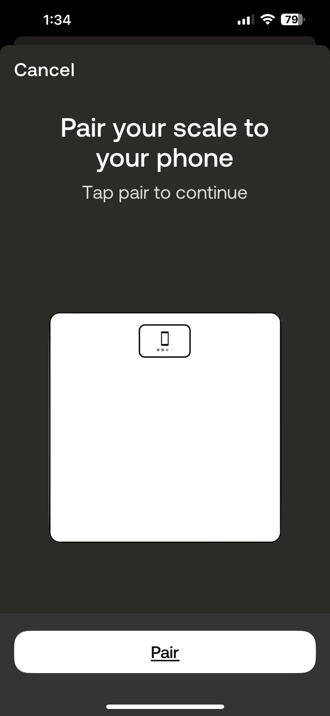 IMG_3217.PNG